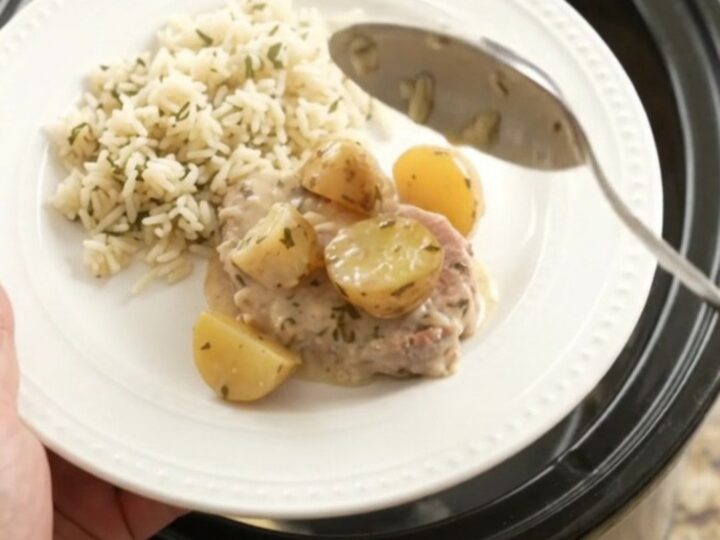 Crockpot Parmesan garlic herb pork chops with creamy sauce and baby potatoes