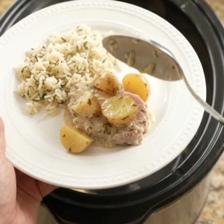 Crockpot Parmesan garlic herb pork chops with creamy sauce and baby potatoes