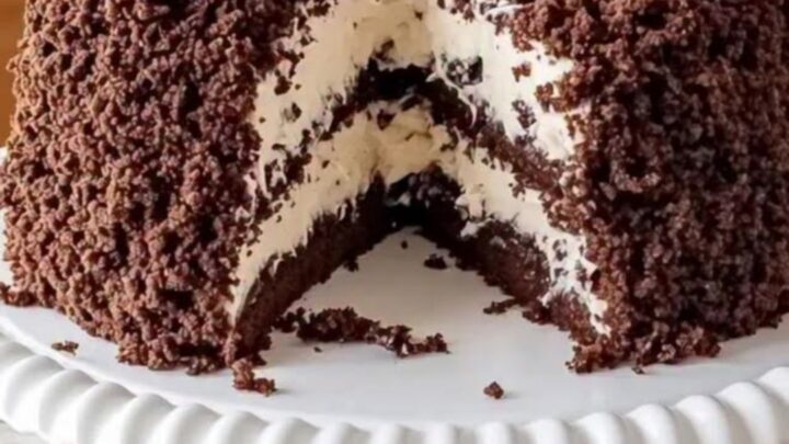 A decadent chocolate crumble cake on a white scalloped pedestal stand with a slice removed showing layers.