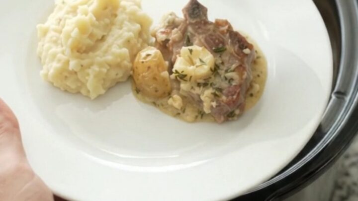 Bone-in ribeye pork chops and baby potatoes in a creamy Gruyère sauce in a slow cooker.