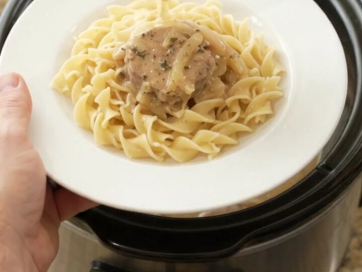 Slow cooker pork medallions in creamy sour cream onion sauce, garnished with thyme.