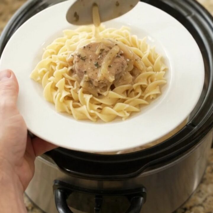 Slow cooker pork medallions in creamy sour cream onion sauce, garnished with thyme.