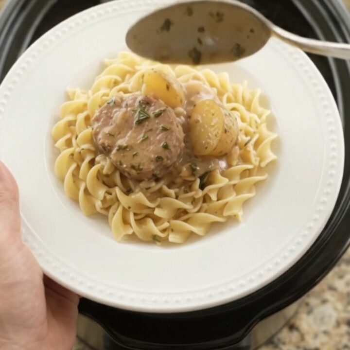 Slow cooker pork medallions and baby potatoes in creamy sour cream gravy with garlic and rosemary