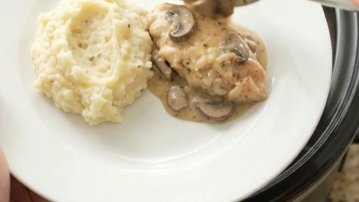 Slow cooker chicken cutlets in creamy mushroom-ranch sauce with melted Gruyère