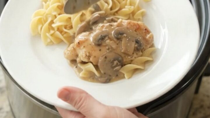 Creamy sour cream ranch mushroom chicken cutlets in a slow cooker with sauce bubbling