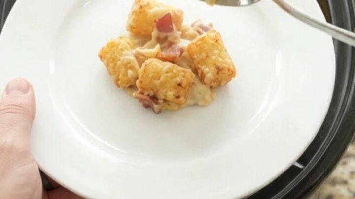 Golden tater tots and melted smoked Gouda in a slow cooker, with bacon and onions visible