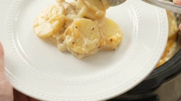 Creamy Crockpot scalloped potatoes with melted Colby-Jack cheese, served in the slow cooker.