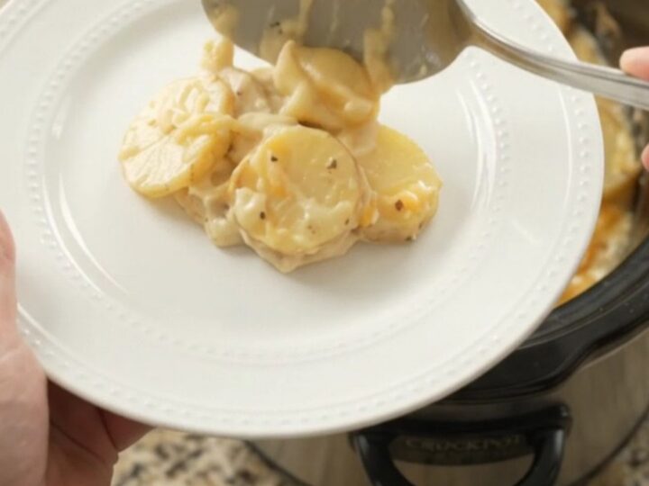 Creamy Crockpot scalloped potatoes with melted Colby-Jack cheese, served in the slow cooker.