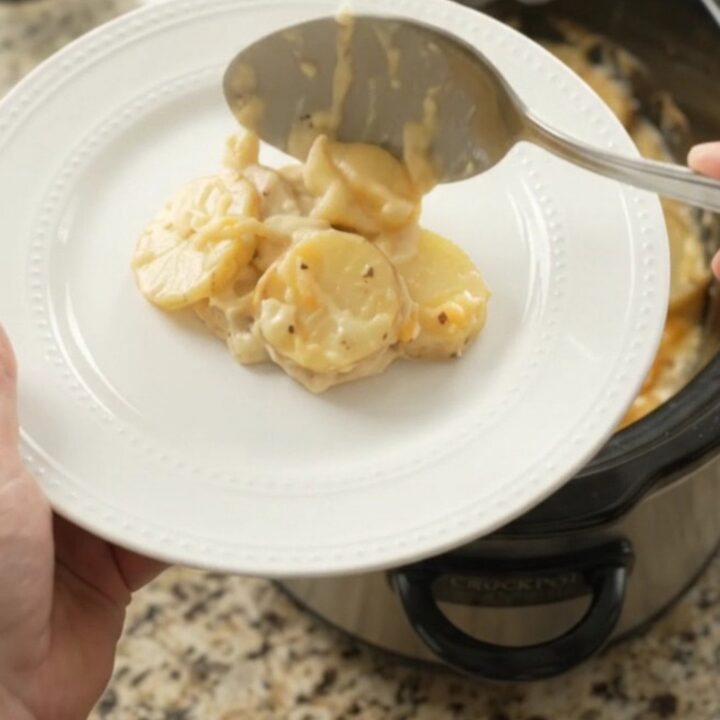 Creamy Crockpot scalloped potatoes with melted Colby-Jack cheese, served in the slow cooker.