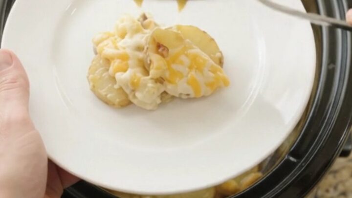 Crockpot full of creamy scalloped potatoes with melted cheese and steam rising