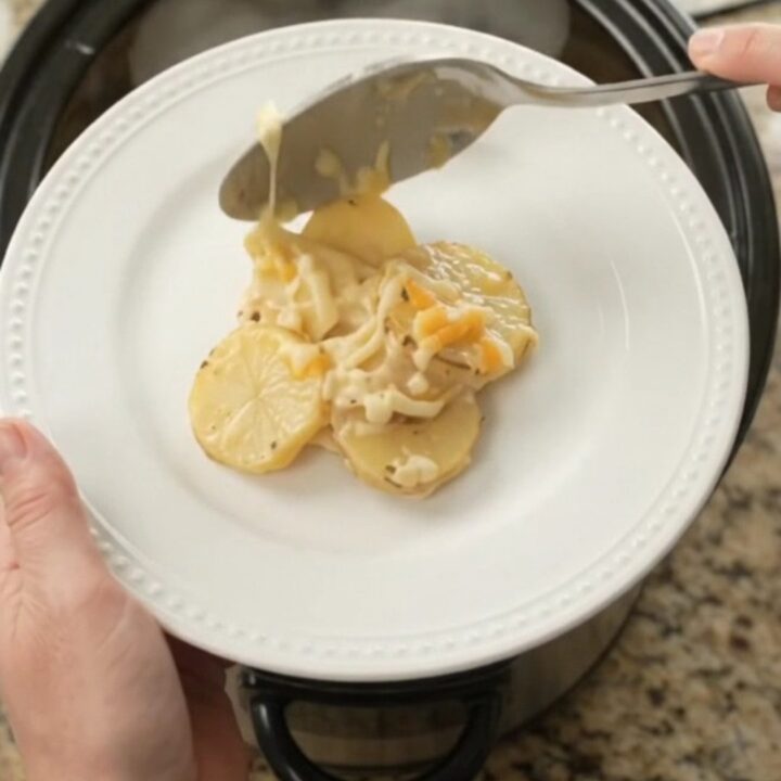 Bubbling Crockpot Colby-Jack Ranch Scalloped Potatoes with melted cheese and creamy sauce