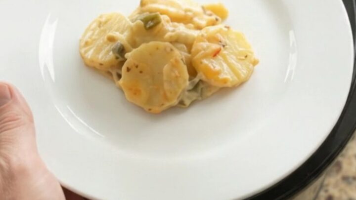 Crockpot pepper jack green chile scalloped potatoes with golden crispy onions on top