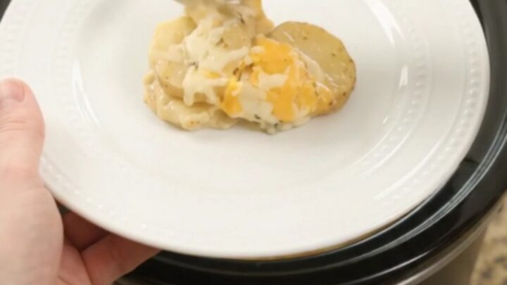 Bubbling Crockpot of Colby-Jack broccoli scalloped potatoes with melted cheese and tender potato slices.