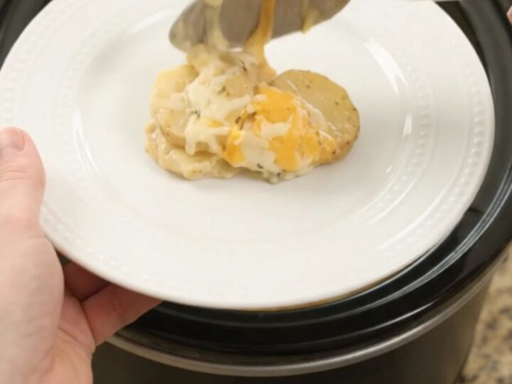 Bubbling Crockpot of Colby-Jack broccoli scalloped potatoes with melted cheese and tender potato slices.