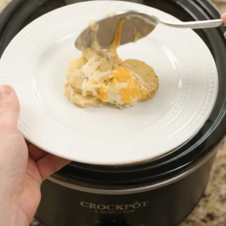 Bubbling Crockpot of Colby-Jack broccoli scalloped potatoes with melted cheese and tender potato slices.