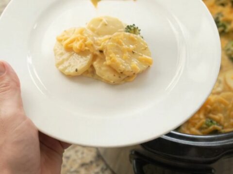 Creamy slow cooker scalloped potatoes with broccoli and golden cheddar crust