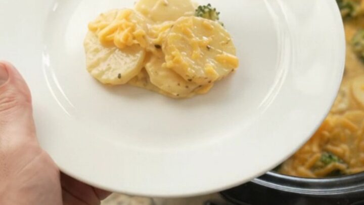 Creamy slow cooker scalloped potatoes with broccoli and golden cheddar crust