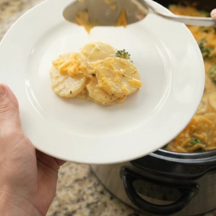 Creamy slow cooker scalloped potatoes with broccoli and golden cheddar crust