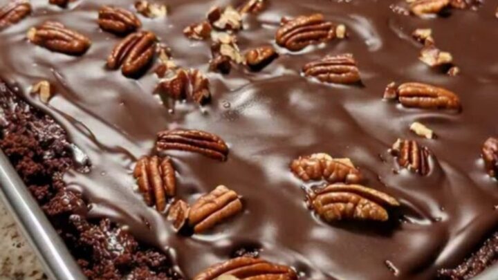 A close-up of a rich chocolate cake with a glossy glaze and toasted pecans in a square tin.