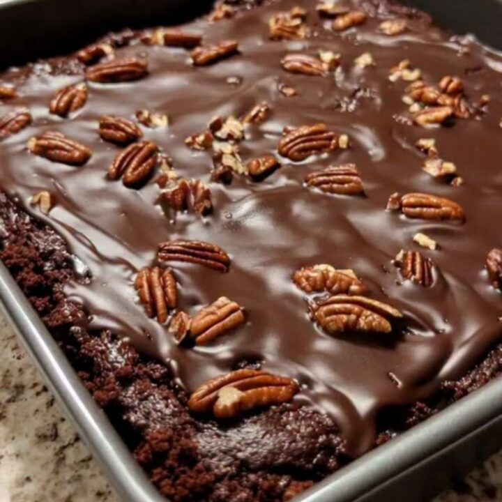 A close-up of a rich chocolate cake with a glossy glaze and toasted pecans in a square tin.