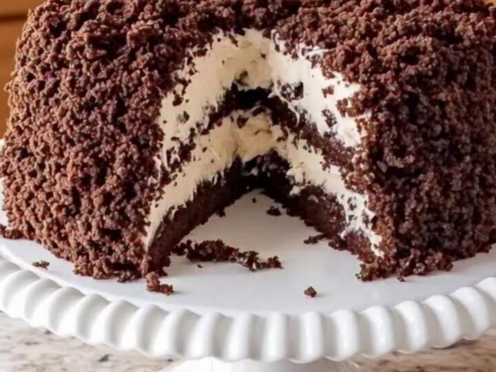 A slice of decadent chocolate coconut crumble cake on a white fluted stand in a warm, well-lit kitchen.