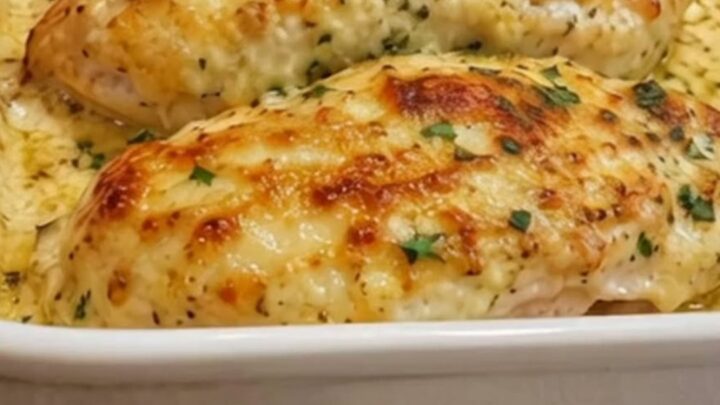 Four golden-brown, cheesy garlic parmesan chicken breasts in a white rectangular baking dish.