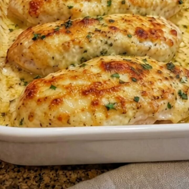 Four golden-brown, cheesy garlic parmesan chicken breasts in a white rectangular baking dish.