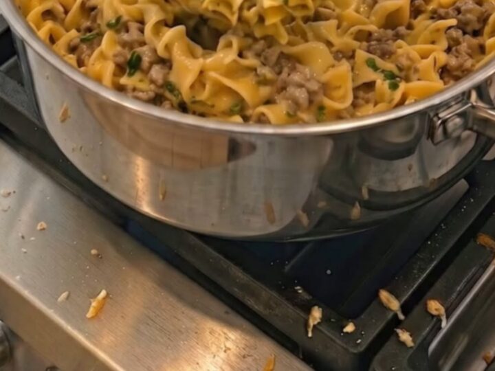 A steaming bowl of creamy ground beef and egg noodles coated in melted cheddar cheese and fresh parsley.