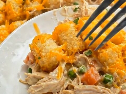 A serving of creamy chicken tater tot casserole on a white plate with golden tots and melted cheese.