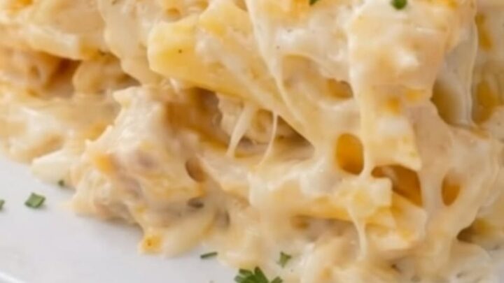A square portion of creamy Chicken Alfredo Bake on a white plate, topped with golden melted cheese and fresh parsley.