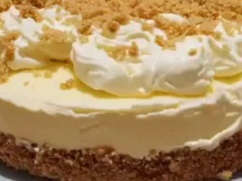 Part de cheesecake au lait concentré crémeux sur une assiette blanche sous une lumière chaude