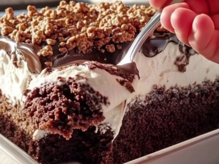 Gâteau au chocolat nappé de crème vanille et parsemé de céréales croustillantes dans un plat blanc