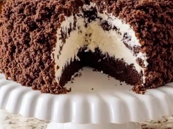 Gâteau au chocolat avec une couche généreuse de crème de coco sur un support en céramique.