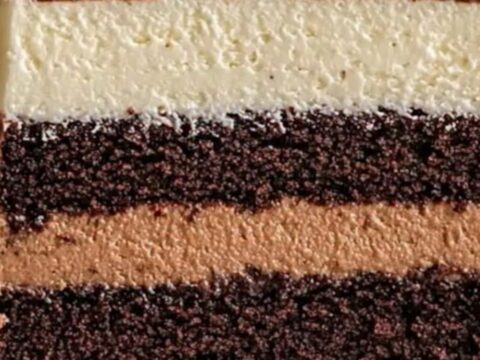 Gâteau trois chocolats avec des couches nettes de mousse noire, lait et blanche.