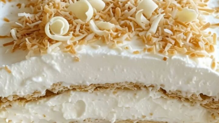 Gâteau glacé à la crème de coco avec copeaux de chocolat blanc sur un plat en verre.
