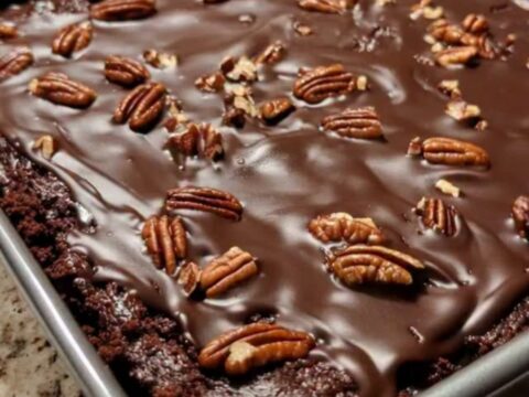 Gâteau au chocolat carré généreusement nappé de ganache brillante et garni de noix de pécan grillées sur plan de travail.