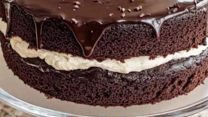 Gâteau au chocolat à deux étages nappé de ganache brillante et décoré de copeaux de chocolat sur un support en verre.