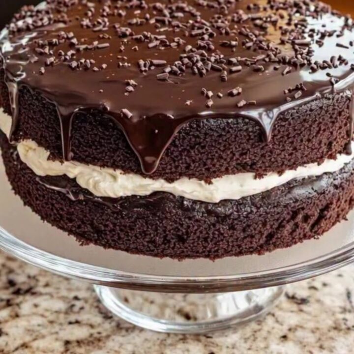 Gâteau au chocolat à deux étages nappé de ganache brillante et décoré de copeaux de chocolat sur un support en verre.