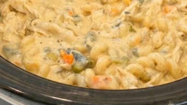 A steaming bowl of creamy chicken pot pie pasta with visible chicken and vegetables.
