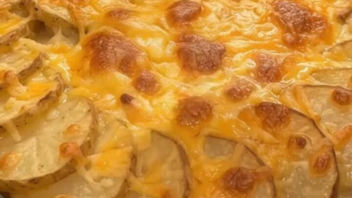 A golden-brown potato gratin with visible layers of beef and melted cheese in a dark baking dish.