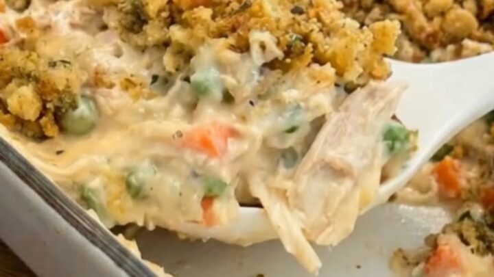 A steaming portion of creamy chicken and stuffing casserole in a white baking dish.