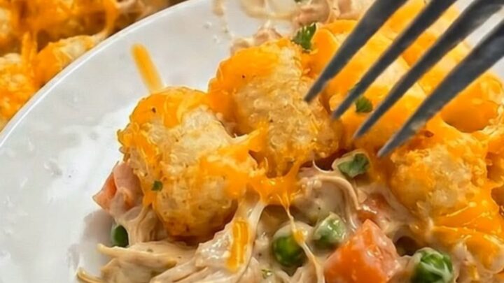 A golden, bubbling chicken tater tot casserole in a white baking dish with melted cheese and fresh parsley.