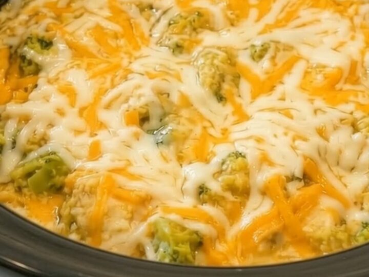 A steaming, creamy portion of slow-cooked chicken, rice, and broccoli topped with melted cheddar cheese.