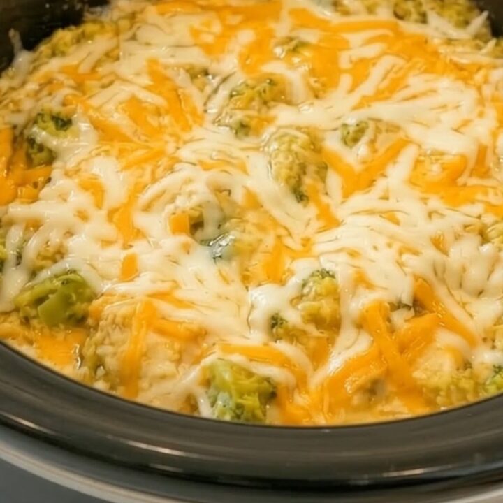 A steaming, creamy portion of slow-cooked chicken, rice, and broccoli topped with melted cheddar cheese.