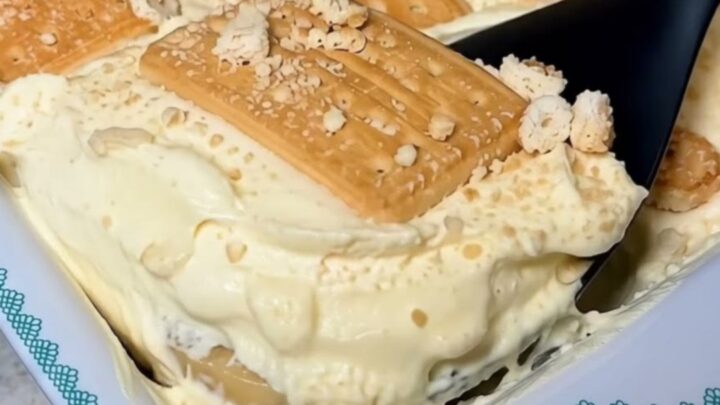 A close-up of a creamy banana pudding dessert in a patterned dish showing layers of biscuits and pudding.