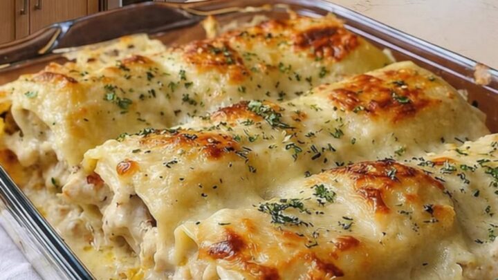 A close-up of golden-brown chicken alfredo lasagna rolls in a glass baking dish with visible steam.