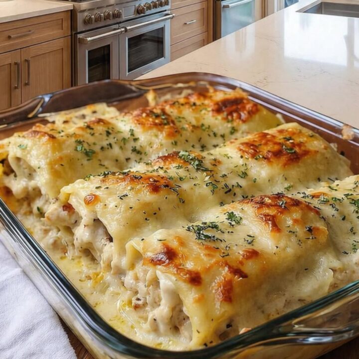 A close-up of golden-brown chicken alfredo lasagna rolls in a glass baking dish with visible steam.