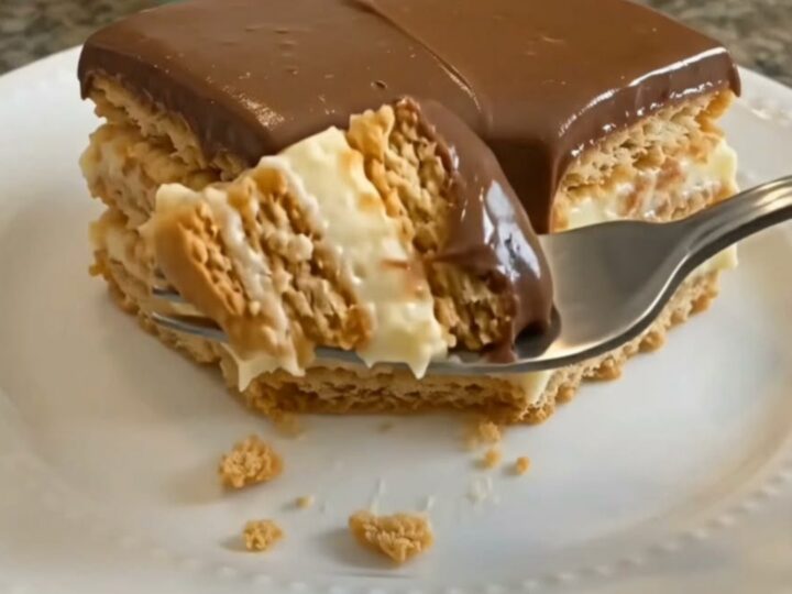 A slice of no-bake eclair cake showing distinct layers of graham crackers and vanilla pudding topped with chocolate.