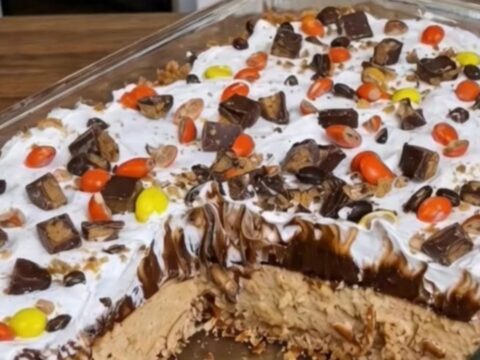 A slice of peanut butter chocolate dessert on a white plate with visible layers.