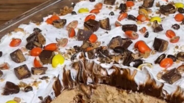 A slice of peanut butter chocolate dessert on a white plate with visible layers.